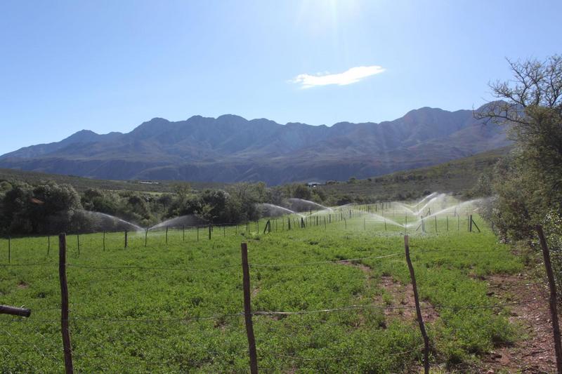 3 Bedroom Property for Sale in Oudtshoorn Rural Western Cape